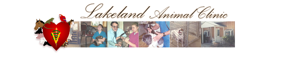 Lakeland Animal Clinic